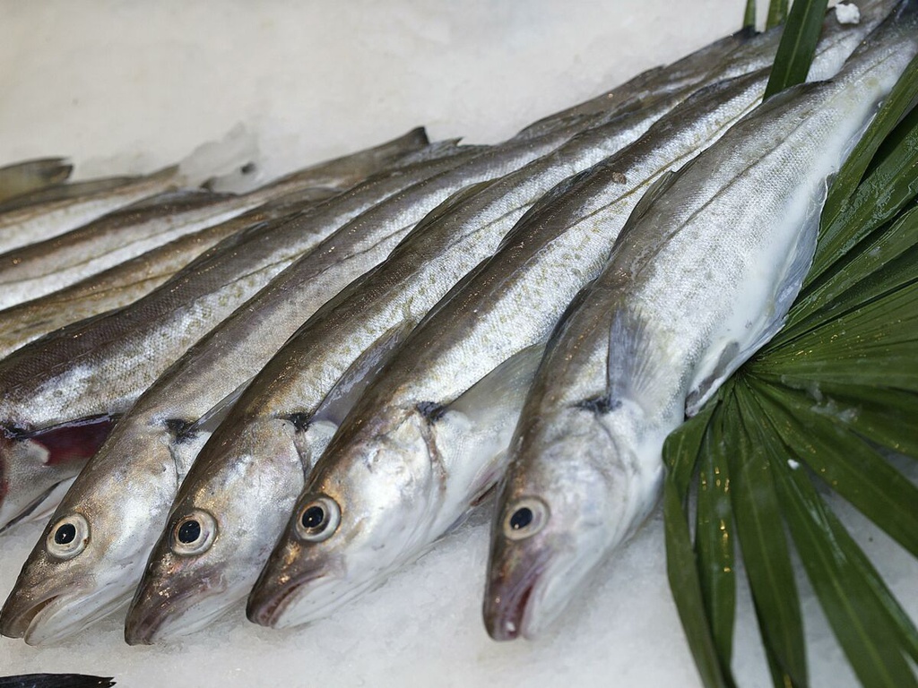 POISSON MILLET
