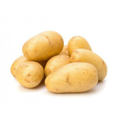 Pomme de terre