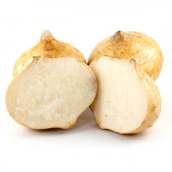 Jicama