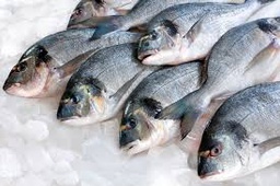 POISSON GARY