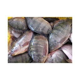 POISSON CARPE