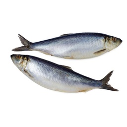 POISSON BUYO