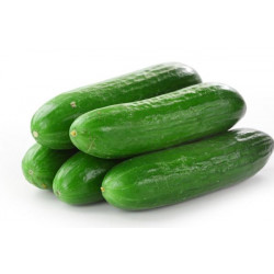Concombre